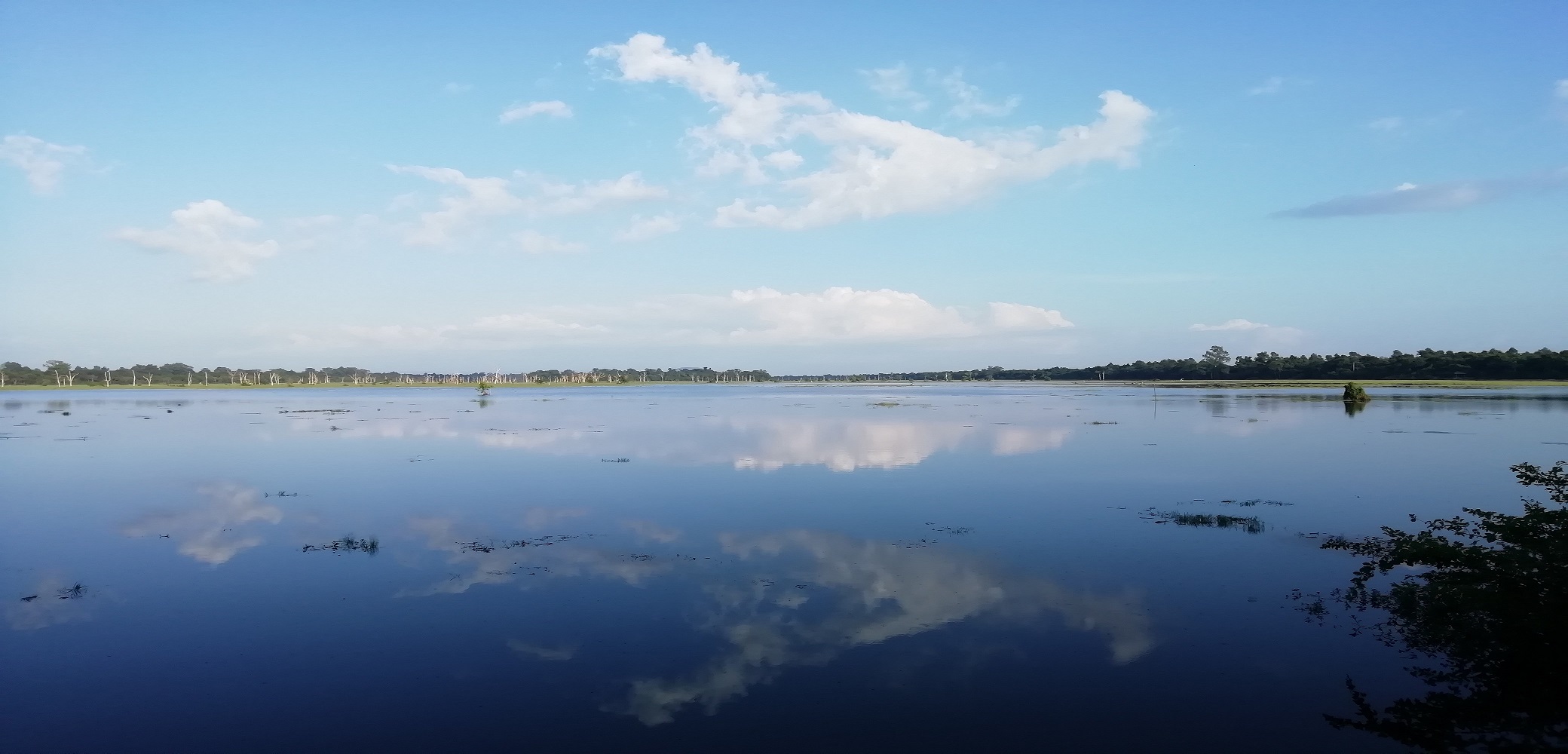 water-cloud